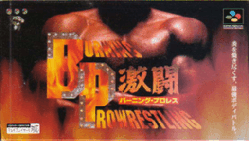 Gekitou Burning Pro Wrestling original box art cover